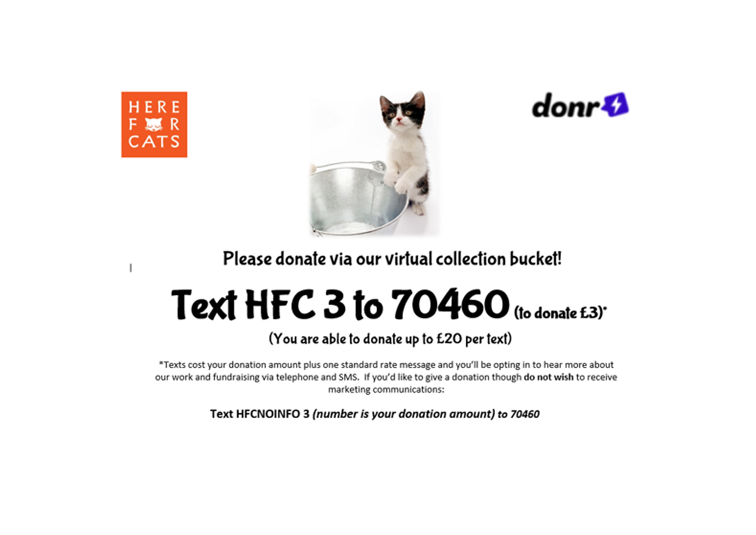 Here for Cats virtual collection bucket: text HFC3 to 70460 to donate £3