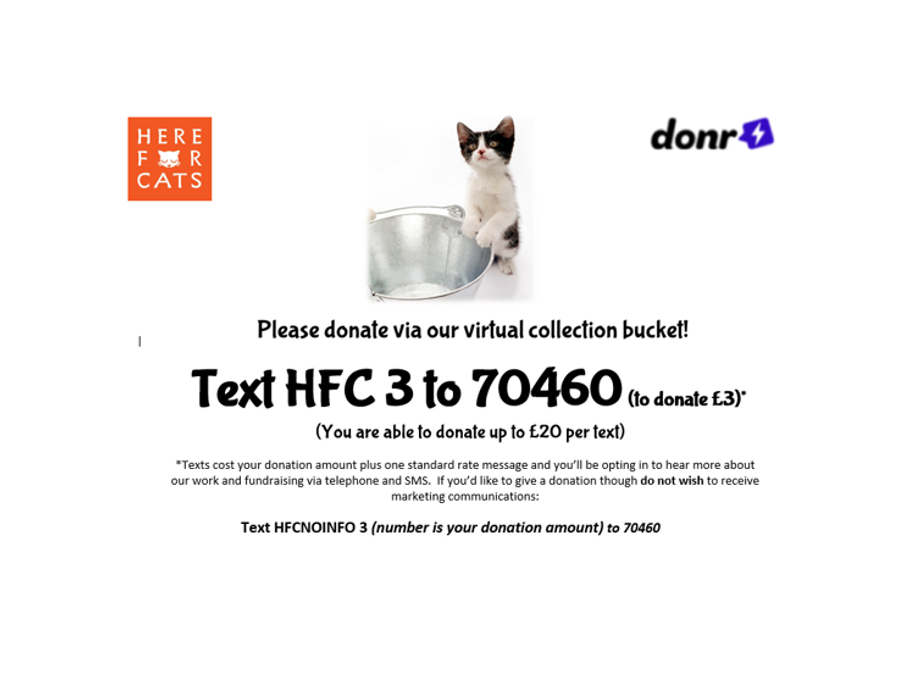 Donating by virtual collection bucket!