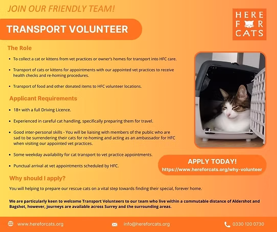 Join our friendly team as a transport volunteer. Help collect cats, take them to veterinary appointments, and deliver donated food. Applicants must be over 18 with a full driving licence. Apply at hereforcats.org/why-volunteer, email info@hereforcats.org, or call 0330 120 0730.